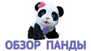 Обзор на Панду PomPom Panda очаровательная и интерактивная от  FurReal Friends и мини конкурс