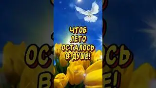 С последним днём лета🕊️￼ пусть солнце будет в душе #прощайлето ￼