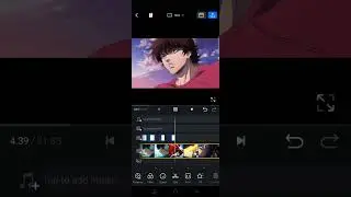 How to Make Blinking Effect on a Video in VN