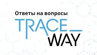 Какие принтеры использует TraceWay: свои или китайские?