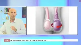 LA TORSION DU TESTICULE C'EST QUOI ?