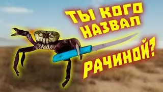 Лютые приколы в CS:GO | WDF 244 | Я СТАЛ КИБЕРСПОРТСМЕНОМ!