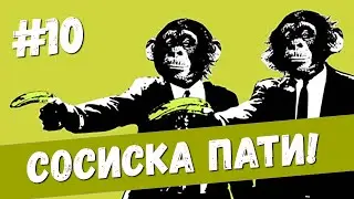 СОСИСКА ПАТИ – ДВЕ МАКАКИ НА ДИВАНЕ