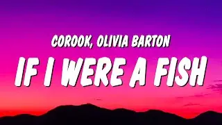 corook - If i were a fish (Lyrics) ft. Olivia Barton "if i were a fish and you caught me"