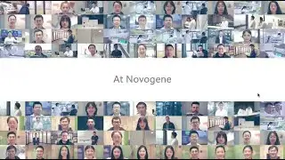 Novogene Character: Get it Right, Make it Better