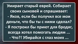 Умирает Жадный Еврей! Сборник Анекдотов Синего Предела №167