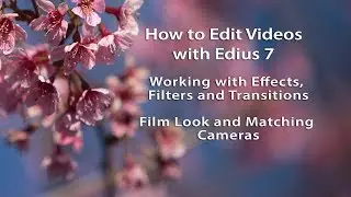 How to Create a Film Look in Edius 7