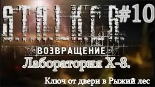 СТАЛКЕР Возвращение #10. Лаборатория Х-8  Документы и Гаусс винтовка. Ной. Ключ от двери в Рыжий лес