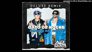 Ñengo Flow Ft. Bad Bunny - Gato de Noche