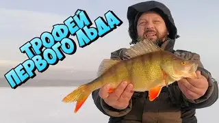 ОГРОМНЫЙ ОКУНЬ ПОЙМАН !!! ЧЁРТИКИ РУЛЯТ !!!