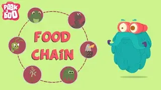 What Is A Food Chain? | The Dr. Binocs Show | Educational Videos For Kids