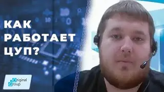 Юрий Редков: Как работает Центр управления проектами Original Group