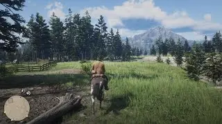 Red Dead Redemption 2 PS5 4K Graphics Comparison