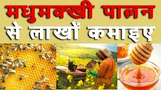 मधुमक्खी पालन से लाखों कमाइए || Bee Farming Full Guide in Hindi || Kisan Bharti TV