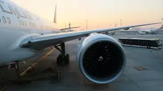 Emirates Boeing 777-300 | Рейс Санкт-Петербург - Дубай