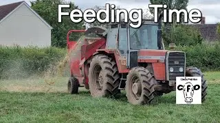 New shed is finished and feeding the cows.