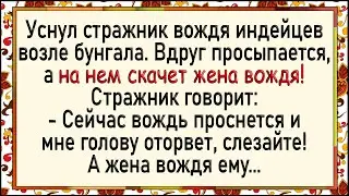 Как жена вождя стражника оседлала! Сборник свежих анекдотов! Юмор!