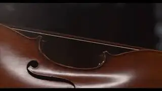 Cello Closeup Full HD Footage | 1080P | Cello Closeup clip HD