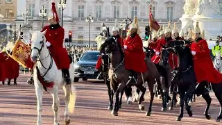 FULL GLORY Extravaganza for King Charles (RARE SIGHTING)