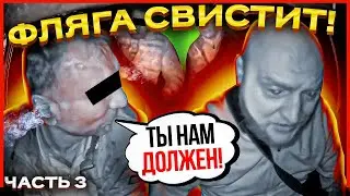 ПАССАЖИР СЛОВИЛ БЕЛОЧКУ В ТАКСИ! [#ЗК №3]