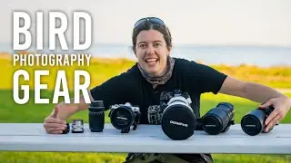 Emilie Talpins Bird Photography Gear