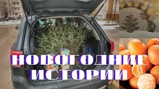 Новогодние приключения 2022