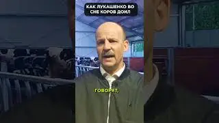 ЛУКАШЕНКО: Я коров всю ночь ДОЮ 😉 #shorts