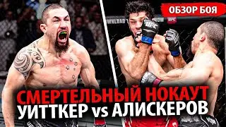 СМЕРТЕЛЬНЫЙ НОКАУТ! ОБЗОР БОЯ Икрам Алискеров vs Роберт Уиттакер UFC Саудовская Аравия