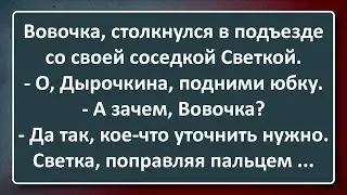 Вовочка Наткнулся на Дырочкину в Подъезде! Сборник Изумрудных Анекдотов №40