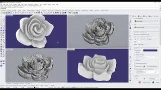 rhino tutorial