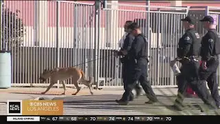 Security is heightened at Redondo Union HIgh School following 2 student weapons arrests