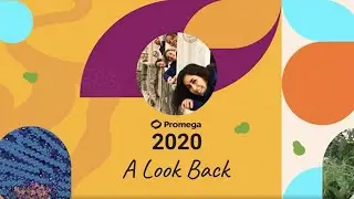 2020 Promega Yearbook