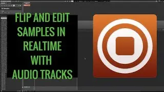 Flip Samples With Maschine Audio Tracks