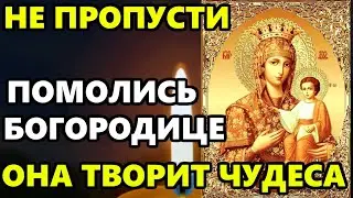 НЕ ПРОПУСТИ СЕГОДНЯ! ЭТА МОЛИТВА ТВОРИТ ЧУДЕСА! Сильная Молитва Богородице! Православие