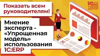 Показать всем руководителям! Мнение эксперта - «Упрощенная модель» использования 1С:ERP