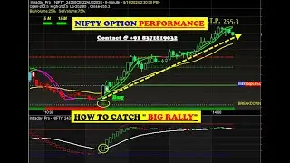 Nifty Option auto Buy sell signal Software with ENTRY & EXIT points for beginners 2024 in HINDI 👌✔