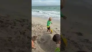 Малыши копают яму вместе с папой. Милое видео на пляже! #beach #funnybaby #christmas #funnyclips