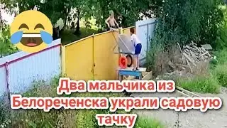 Самая смешная кража года: двое мальчиков украли садовую тачку.