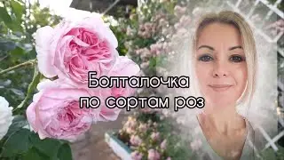 Vlog-213 Прогулка по розарию с резюме по сортам.