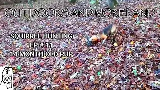 Squirrel hunting with dogs 2021 (kill shot!) 2021 Squirrel Season EP. #11 