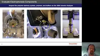 Restarting Your Capillary Electrophoresis System: On-Demand Tutorial