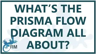 What’s the PRISMA flow diagram all about?