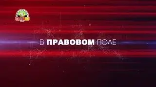 «В правовом поле»: Независимая правовая экспертиза проектов нормативных правовых актов