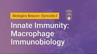 Innate Immunity: Macrophage Immunobiology