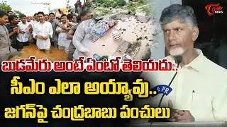 బుడమేరు అంటే ఏంటో తెలియదు.. | CM Chandrababu Shocking Comments On YS Jagan | AP News | Tone News