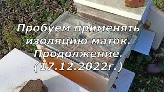 Пробуем применять изоляцию маток. Продолжение. Ч.2. (22.12.22)