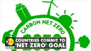 Countries around the world commit to net zero emissions | Climate Crisis | English News