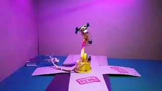 Dancing Robot Arm