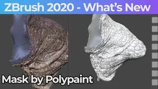 029 Zbrush 2020 Mask By Polypaint