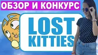 LOST KITTES полный обзор потерянных котиков и КОНКУРС!